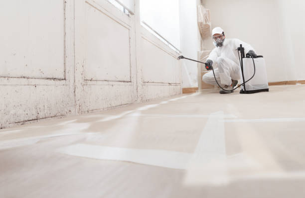 24/7 Emergency Bathroom Mold Removal experts in Plano, TX